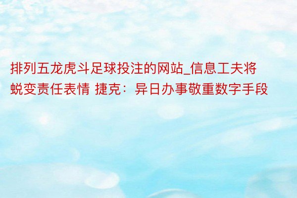 排列五龙虎斗足球投注的网站_信息工夫将蜕变责任表情 捷克：异日办事敬重数字手段