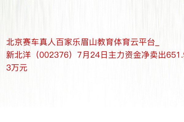 北京赛车真人百家乐眉山教育体育云平台_新北洋（002376）7月24日主力资金净卖出651.93万元