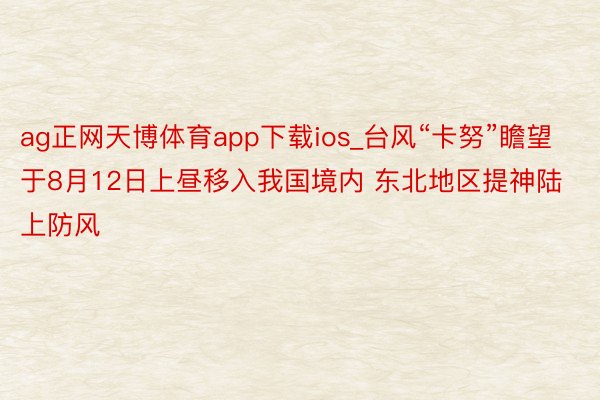 ag正网天博体育app下载ios_台风“卡努”瞻望于8月12日上昼移入我国境内 东北地区提神陆上防风