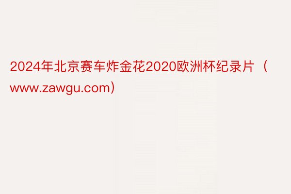 2024年北京赛车炸金花2020欧洲杯纪录片（www.zawgu.com）