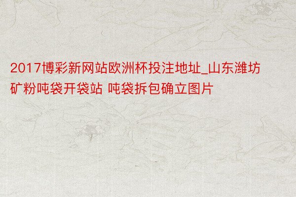 2017博彩新网站欧洲杯投注地址_山东潍坊矿粉吨袋开袋站 吨袋拆包确立图片